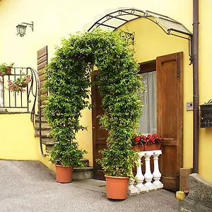Ulivo Rosso Italy